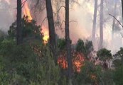 Nuevo incendio en Palma de Mallorca