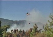 Los incendios forestales en Turquía llevan arrasadas 300 hectáreas
