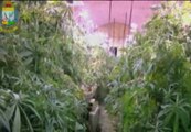 La policía desmantela una plantación de marihuana en un tunel de metro en Roma