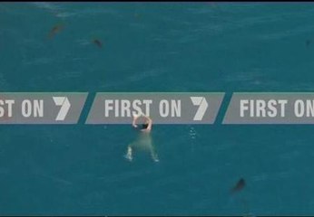 A salvo del tiburón martillo