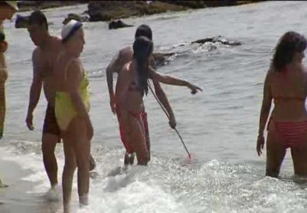 Las medusas invaden las playas malagueñas