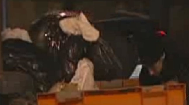 Candados en los cubos de basura para evitar sacar comida