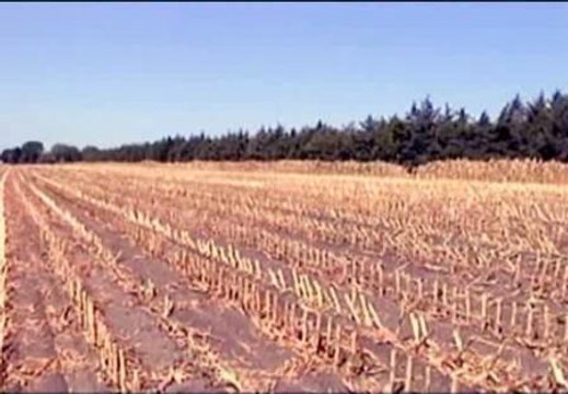 Estados Unidos sufre la mayor sequía de los últimos 50 años