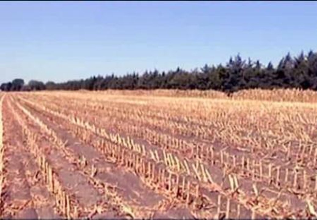 Estados Unidos sufre la mayor sequía de los últimos 50 años