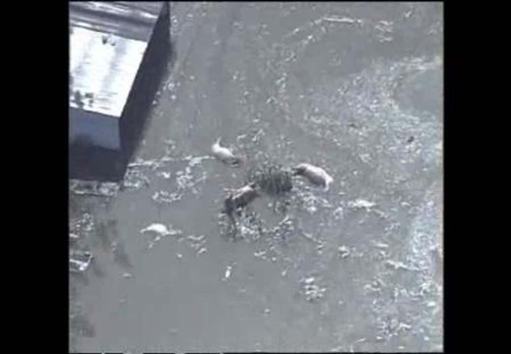 El temporal en Pekín mata a 37 personas