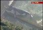 Una ballena de 30 toneladas sorprende en una playa australiana