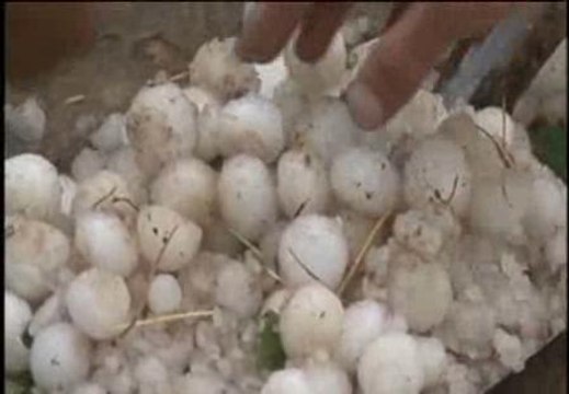 Una intensa tormenta de granizo en China provoca numerosos destrozos
