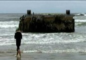 Aparece un trozo de muelle japonés en una playa de Estados Unidos