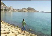 El paro hace aumentar la pesca de caña en el puerto de Alicante