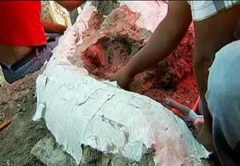 Un mamut de hace diez mil años