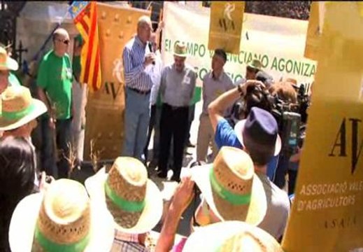 Agricultores valencianos protestan en Madrid a través de un mercado de la ruina
