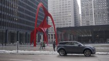 The Flamingo | A Refined Point of View: Chicago