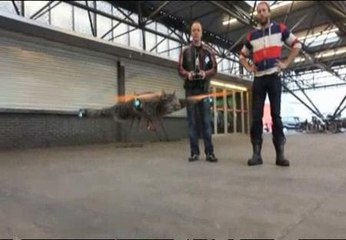 Una mascota convertida en obra de arte