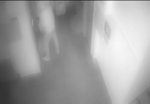 La Guardia Civil detiene a una banda de butroneros en Madrid