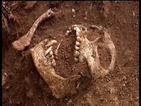 Excavan en Málaga la segunda mayor fosa común del franquismo