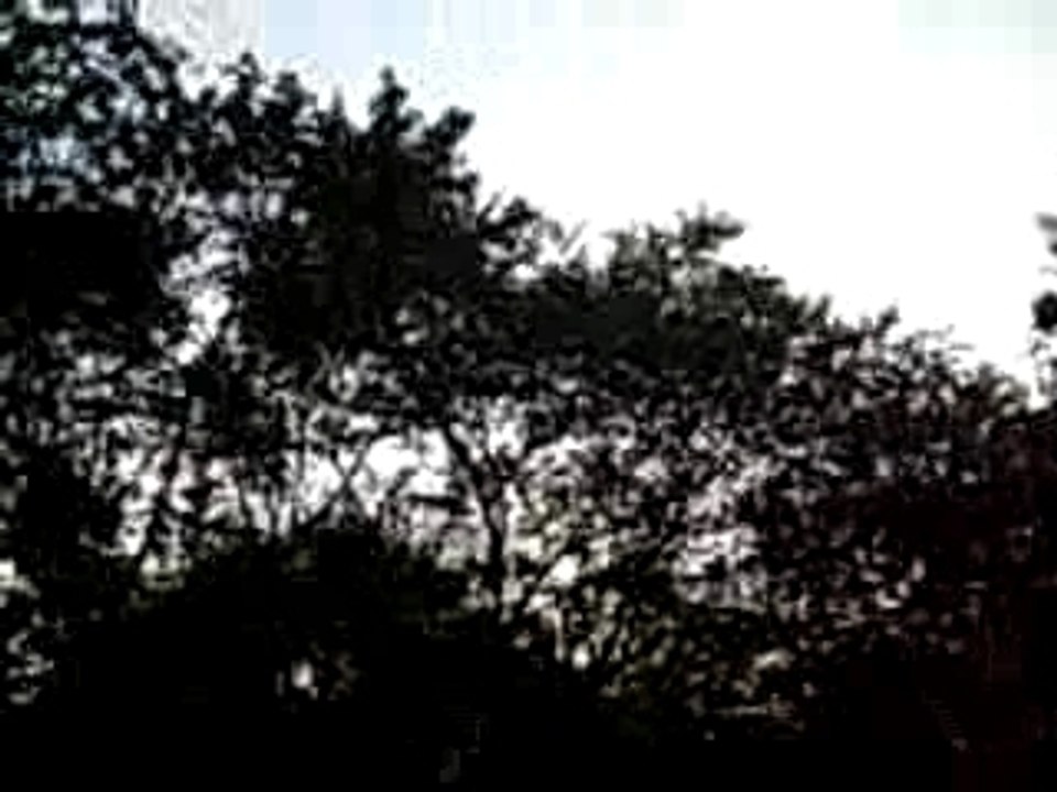 DSCN4715