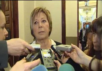 Rechazadas las preguntas sobre el viaje del Rey a Botsuana