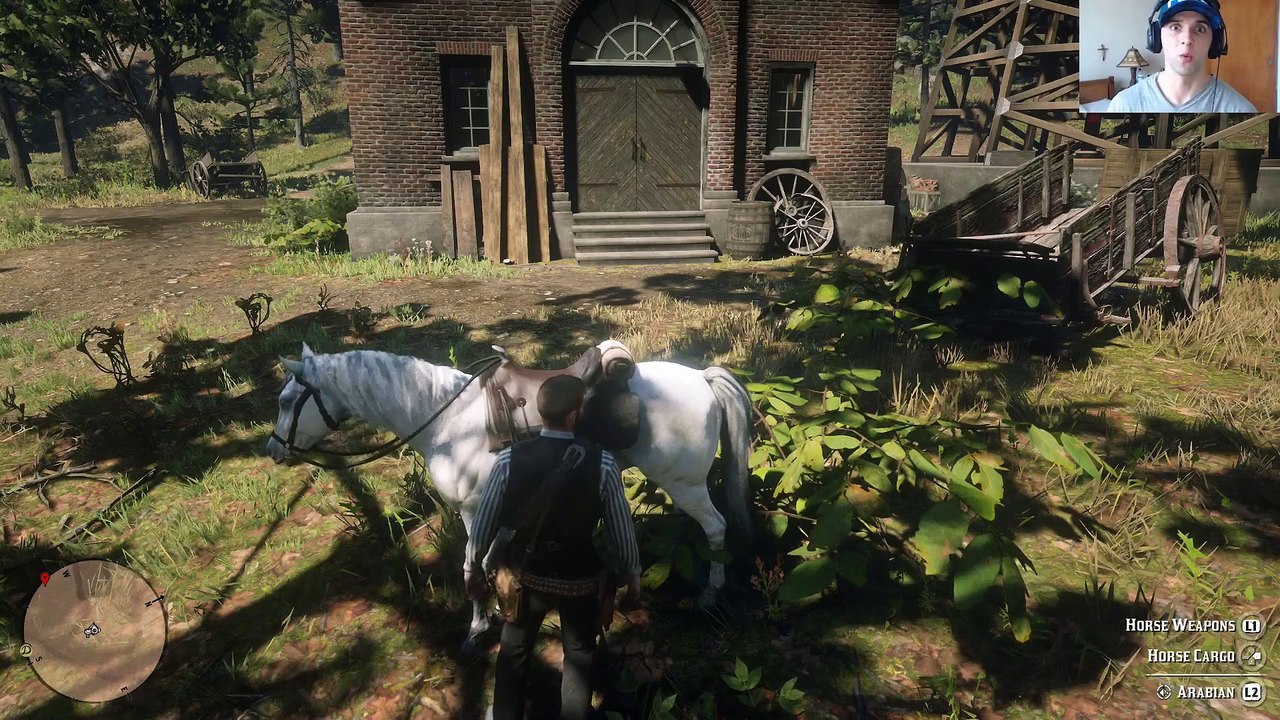 Red Dead Redemption 2: SECRET ROBOT LOCATION (RDR2)