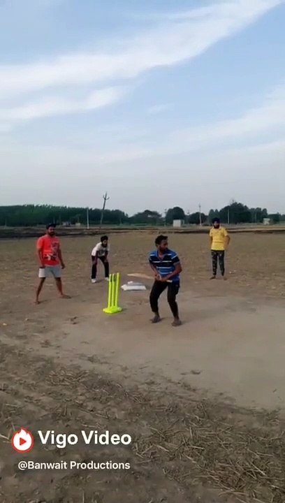 That's How You Can Play Cricket With Your Friends Viral Videos