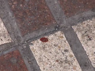 Dos detenidos tras entrar en una freiduría de Sevilla