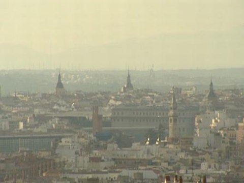 La lluvia, solución para las alergías