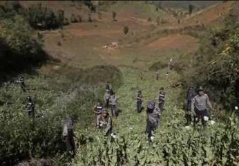 La guerra contra el opio en Myanmar