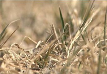 España, al borde de la sequía