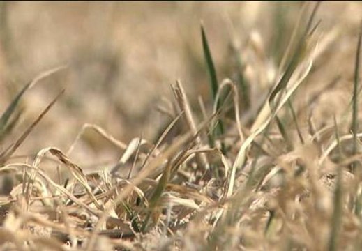 España, al borde de la sequía