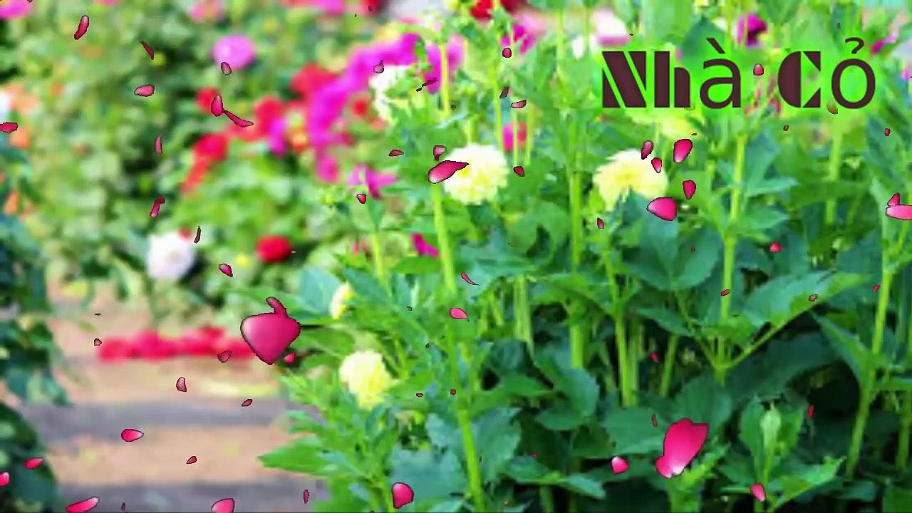 Audio đam mỹ: Dị Thế Lưu Đày: 398 - 400.