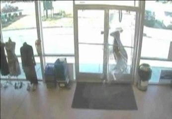 Accidental alunizaje de un ciervo en un establecimiento