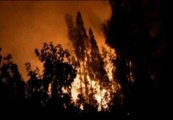 Chile sigue luchando contra las llamas