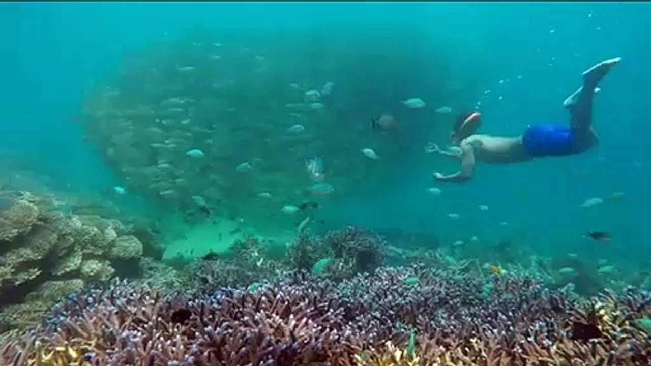 Snorkelling Gili Nanggu