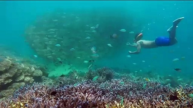 Snorkelling Gili Nanggu