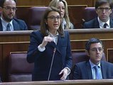 El PSOE acusa al Gobierno de recortar derechos fundamentales con su Ley de Seguridad