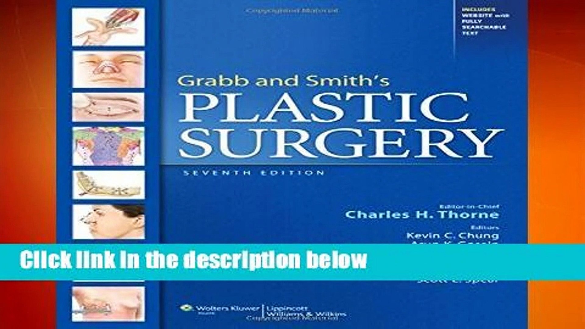 Grabb and Smith s Plastic Surgery
