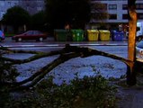 El fuerte viento provoca cuantiosos desperfectos en el mobiliario urbano en Vigo