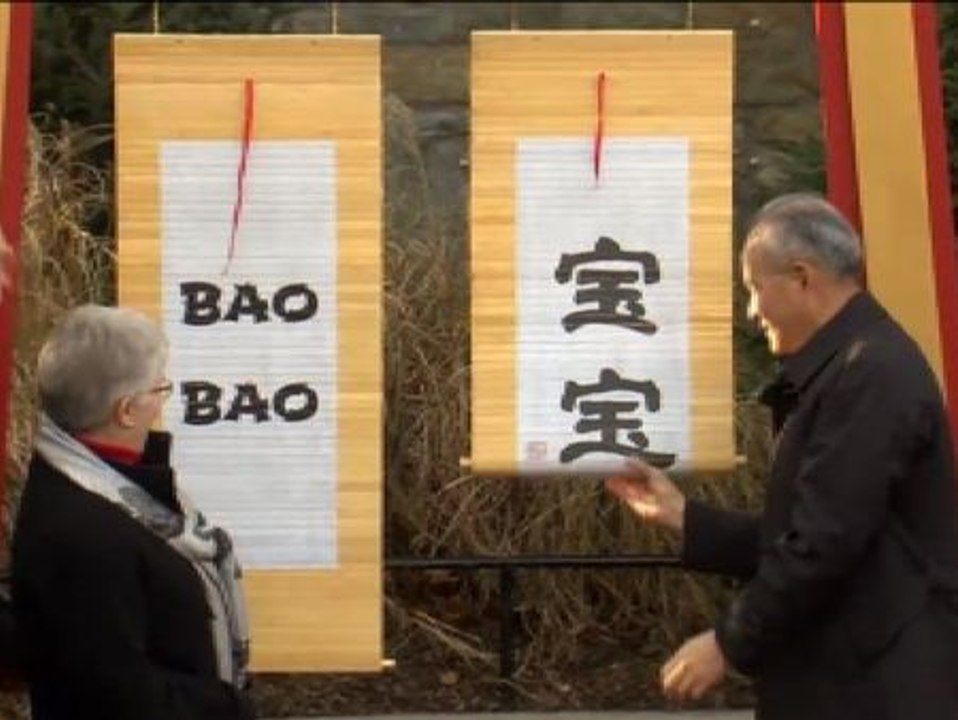 El pequeño panda del zoo de Washington cumple 100 días