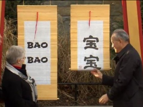 El pequeño panda del zoo de Washington cumple 100 días