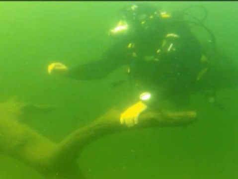 El Lago de Sanabria tiene un alga que indica que está contaminado