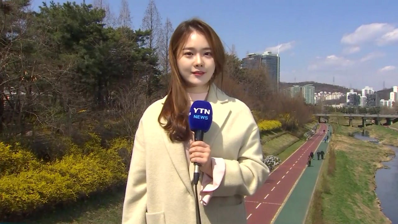 [날씨] 꽃샘추위 속 봄꽃 '활짝'...곳곳 빗방울 / YTN