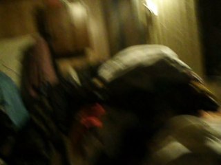 The American Energizer