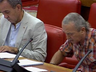 Amaiur protesta en el Congreso por la operación contra Herrira