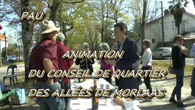 LES W-D.D. MICHOU NEWS - 30 MARS 2019 - PAU - ANIMATION DU CONSEIL DE QUARTIER DES ALLÉES DE MORLAAS