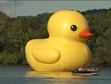 El pato gigante de Hofman llega a Pittsburgh