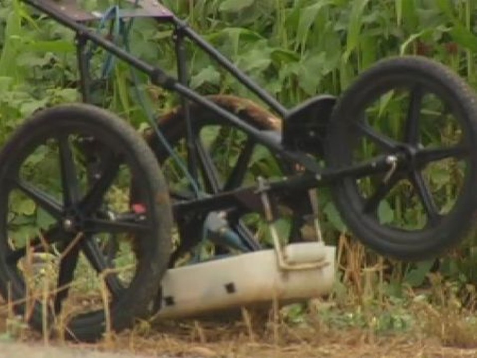 Todo está preparado para retomar las tareas de búsqueda del cuerpo de Marta del Castillo
