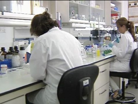 Senegal financiará la investigación de enfermedades tropicales en Canarias