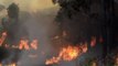 Un nuevo incendio en Galicia arrasa 450 hectáreas