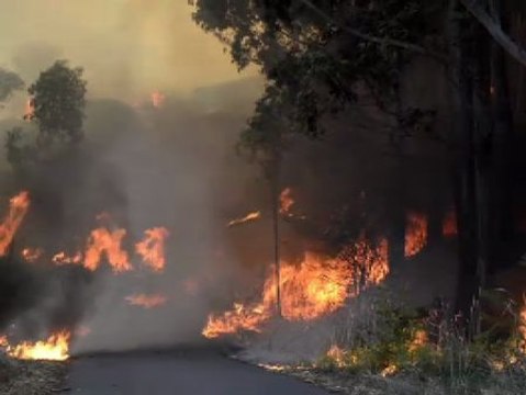Un nuevo incendio en Galicia arrasa 450 hectáreas