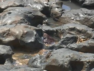 La Antilla se llena de lodo