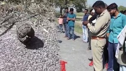 मुलायम सिंह के नामांकन से पहले मैनपुरी में सड़क किनारे मिला हैंड ग्रेनेड, मचा हड़कंप